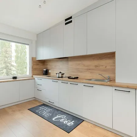 Scandinavian Style In Near Centre By Renters Apartament *